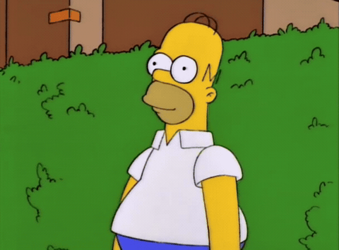 GIF: The Simpsons (Fox, 1994), via GIPHY.